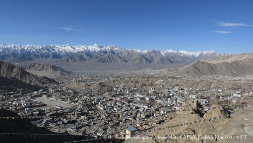 Leh, the Indus valley, and Hemis National Park, Ladakh, Mar 2022 C PT-3731
