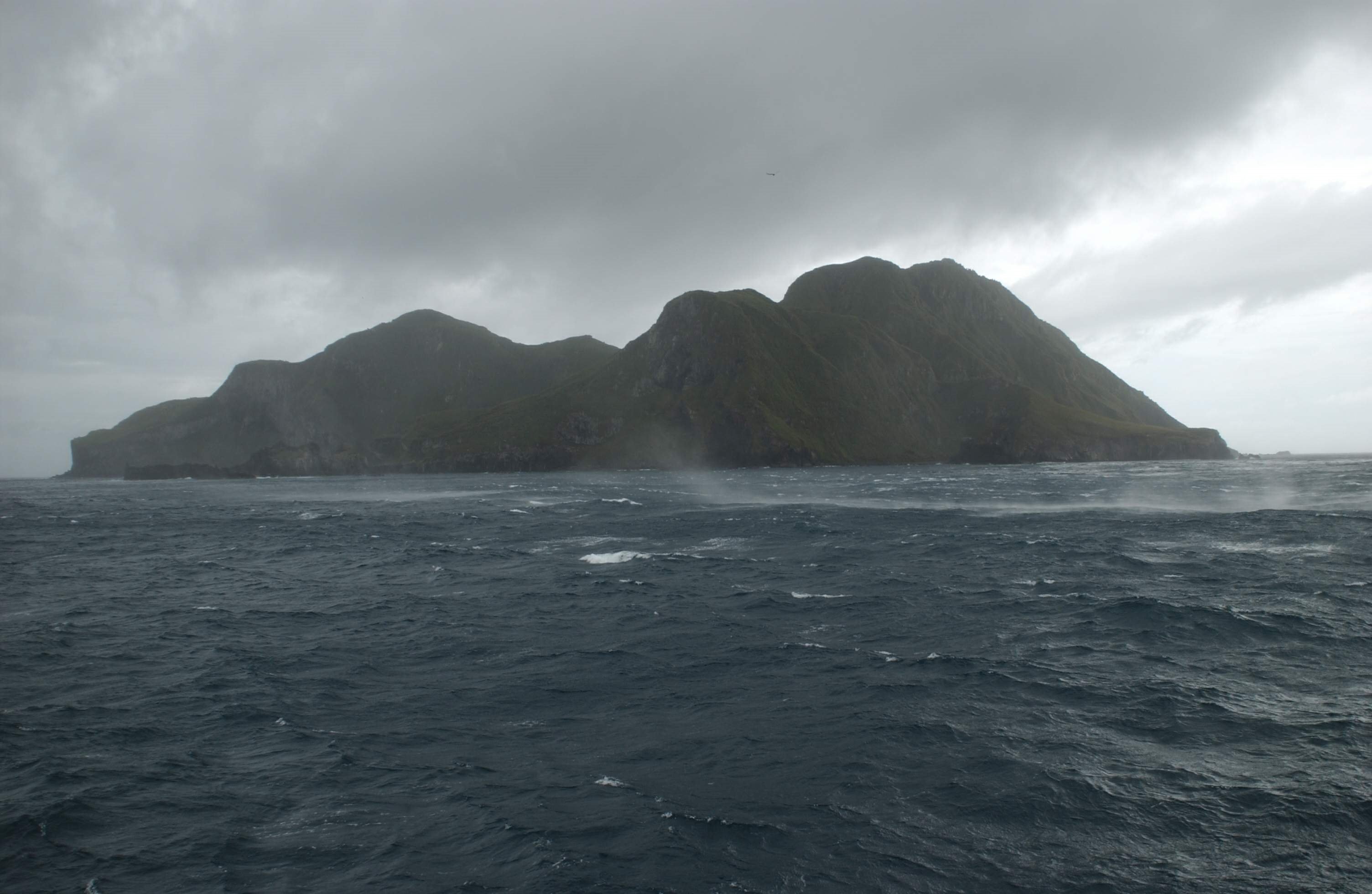 Nightingale Island, Atlantic Odyssey © Hadoram Shirihai-Oceanwide Expeditions (3).jpg_Hadoram Shirihai