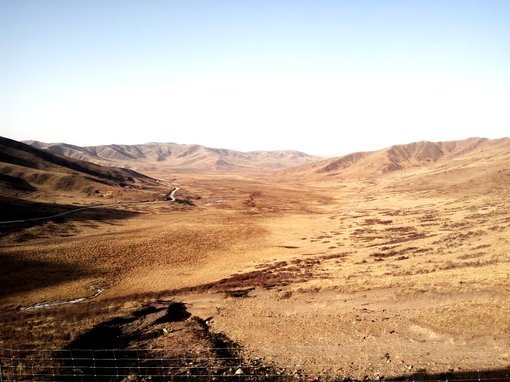 Tibetan Grassland SF