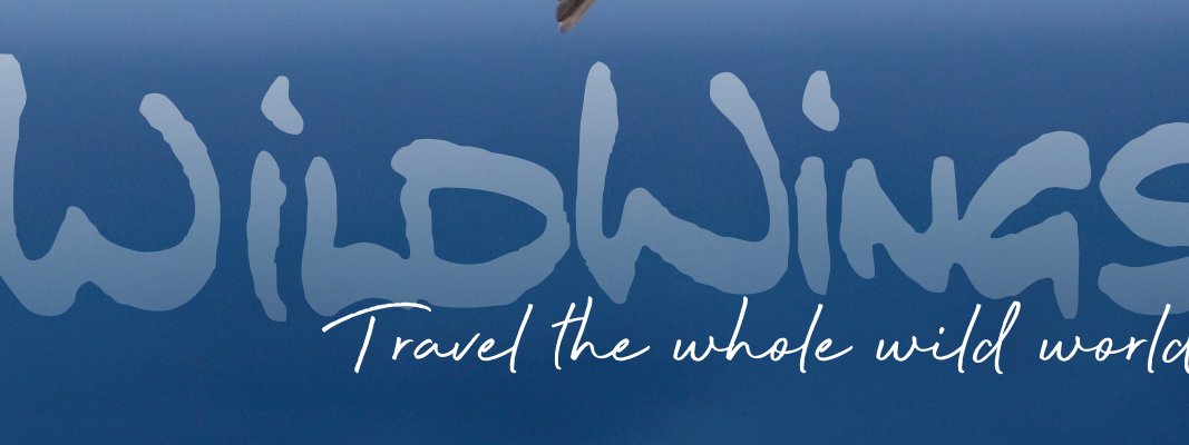 https://wildwings-com.s3.amazonaws.com/images/WildWIngs_brochure_cover_logo.2e16d0ba.fill-1920x720.jpg