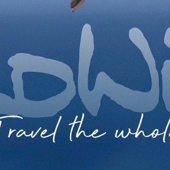 WildWIngs brochure cover logo