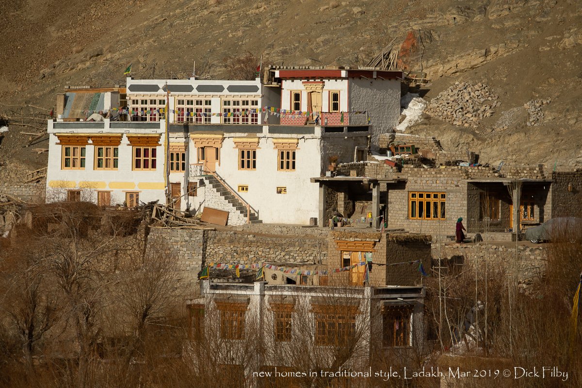new homes in traditional style, Ladakh, Mar 2019 C Dick Filby-3732